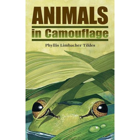 Animals in Camouflage – Menucha Classroom Solutions