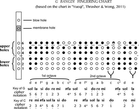 An Image Of A Diagram With Dots And Lines On The Bottom In Black And White