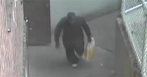 Police Suspect Sought In Brooklyn Sex Assault Cbs New York