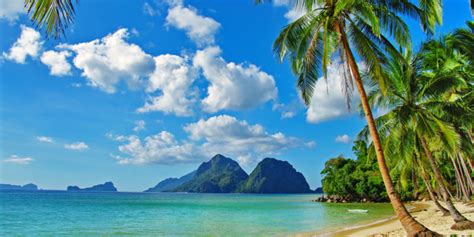 Tropical climate: what it is, types and its characteristics