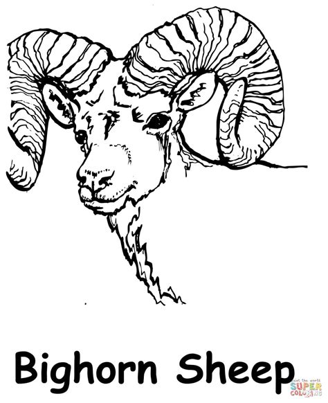 Bighorn Sheep Coloring Page Free Printable Coloring Pages