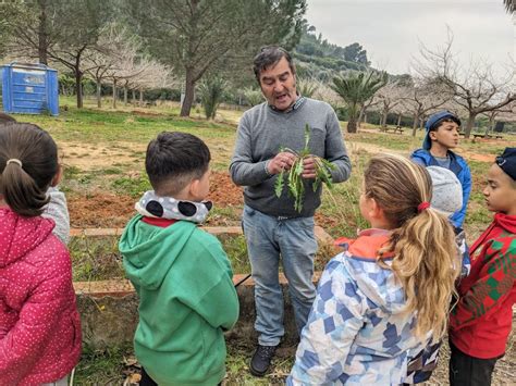 Dia de larbre CEIP NAVARRO DARÁS