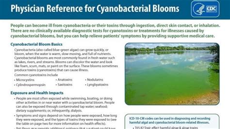 Physician Reference for Cyanobacterial Blooms | Harmful Algal Bloom ...