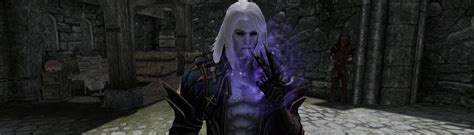 Castlevania Lord Of Shadows Alucard Race And Follower At Skyrim