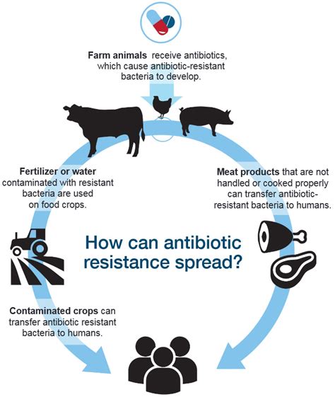 Science Fact Sheet Antimicrobial Resistance Inspection Canada Ca