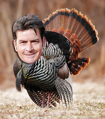 Hot Celebs Porn Pictures XXX Photos Sex Images 430840 PICTOA