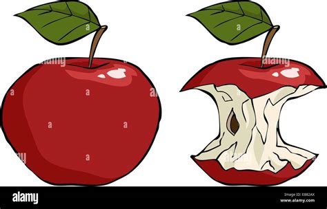 Apple And Apple Core Cartoon Vector Illustration Stock Vector Image