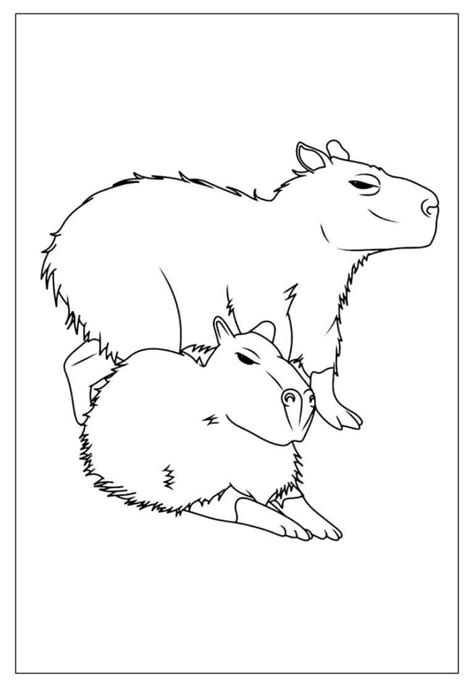 Desenhos de Capivara para Imprimir e Colorir