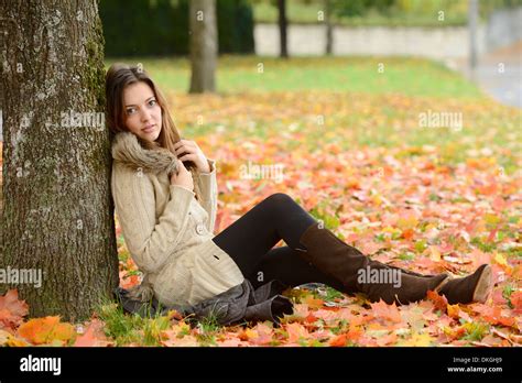 Personne Assise Sous Un Arbre Banque De Photographies Et Dimages