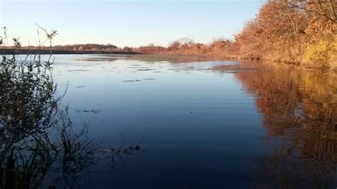 Day 7 Pond Trapping Wisconsin For Beaver And Muskrats Last Hurrah