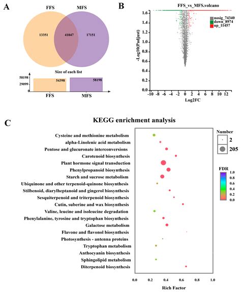 Agronomy Free Full Text Comparative Transcriptome Analysis