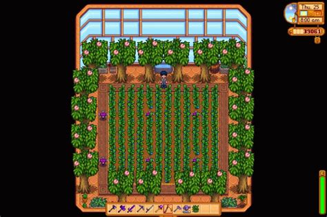 Best Crops For The Greenhouse In Stardew Valley High Ground Gaming