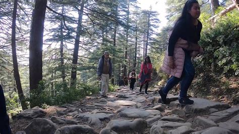 TRIUND TREK McLeodganj YouTube