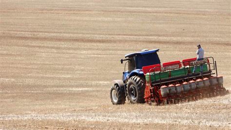 Brasil deve exportar 7 3 milhões de t de soja em fevereiro