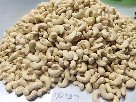 Raw Ivory W Whole Cashew Nuts At Rs Kg In Kurinjippadi Id