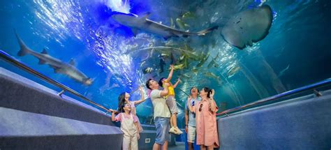 exploring national oceanographic museum nha trang