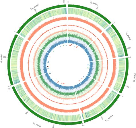 Genome Features Of Lathyrus Genome Assembly The Circos Plot Shows