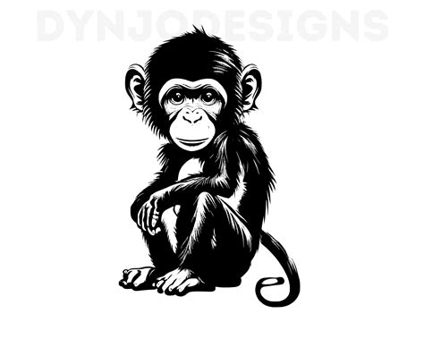 Ape Svg Ape Clipart Ape Png Ape Head Ape Cut Files For Etsy Singapore