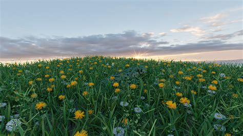 Meadow CG Cookie Learn Blender Online Tutorials And Feedback