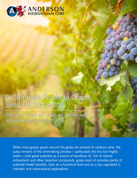 A Complete Guide to Grape Seed Oil Extraction - Anderson International Corp