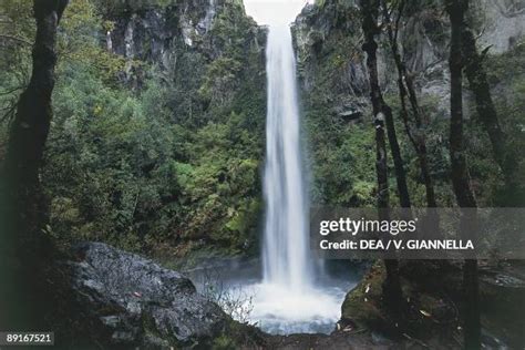 Rio Blanco National Park Photos and Premium High Res Pictures - Getty ...