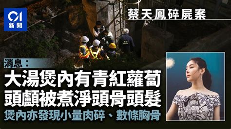 蔡天鳳碎屍案 給子女留言曝光情感真摯令人動容 網民：眼淚繃不住了 港澳新聞 時事焦點 公仔箱論壇 Powered By Discuz