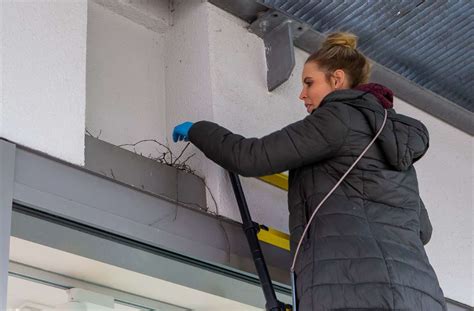 Fotostrecke Bietigheim Bissingen F R Das Tauben Wohl In Den Ekligsten