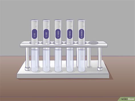 Cómo hacer diluciones seriadas 9 Pasos con imágenes