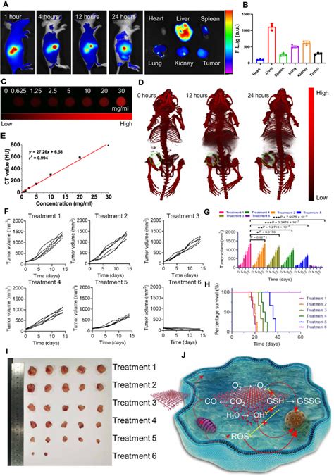 In Vivo Imaging Biodistribution And Antitumor Study Of The Bioclbi 2