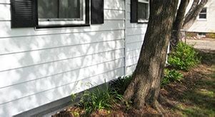 Are Trees Bad For Foundations Which Trees Affect Houses Fixes