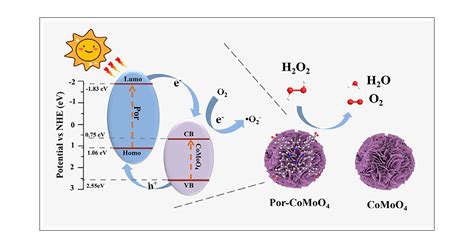 Nanozyme Sensor Array Based On Porphyrin Modified CoMoO4 To Detect And