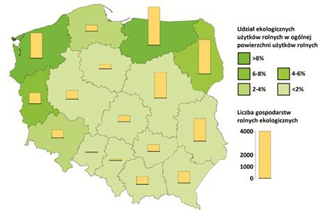 Stan Rolnictwa Ekologicznego W Polsce