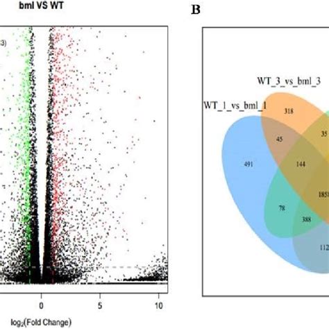 Volcano Map And Venn Diagram Of Degs A Degs Are Shown By Volcano