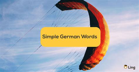 30+ Simple German Words And Phrases For Beginners - ling-app.com