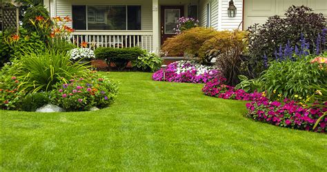 8 Step Lawn Care Program - Blue Grass Lawn Care & Landscaping Service