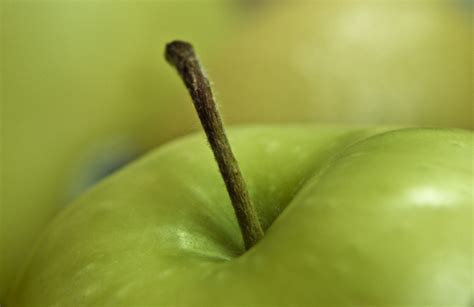 Free Images Apple Nature Branch Drop Blur Fruit Sweet Leaf