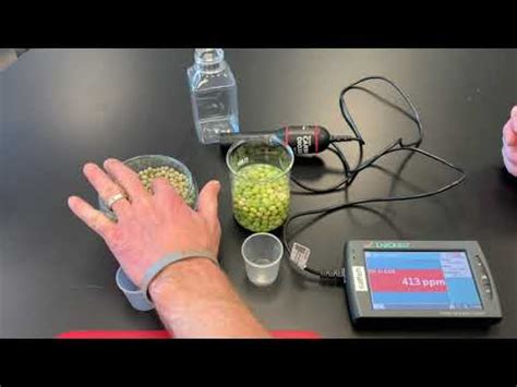 Cellular Respiration In Germinating Peas YouTube