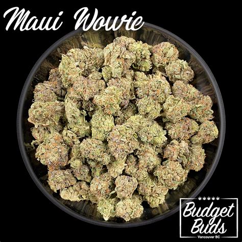 Maui Wowie Sativa 1oz Budget Buds