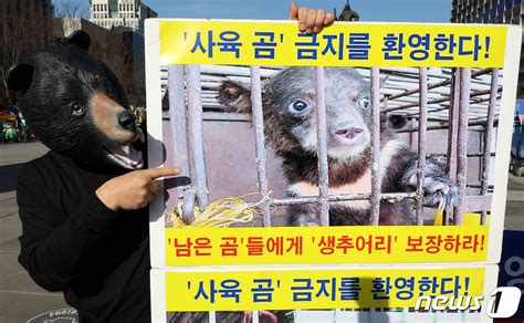 2026년 곰 사육 종식 머리 맞댄 민·관농가지원·곰 보호 최선 네이트 뉴스