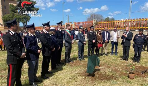 Piantumata Una Talea Dellalbero Falcone Nel Giardino Del Comprensivo