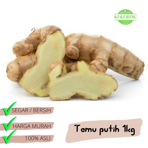 Jual Herbal Curcuma Zedoaria Segar 1Kg KUNYIT PUTIH TEMU KUNIR Murah