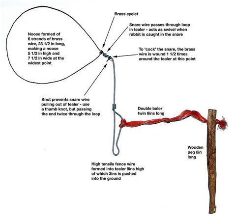 How To Make A Rabbit Snare Prepared For That Survival Skills