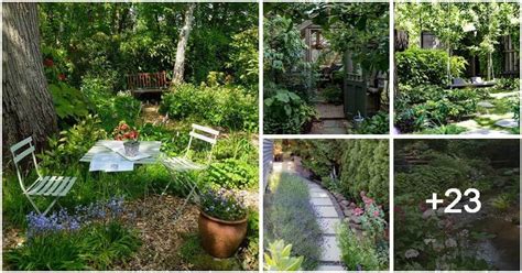 28 Landscaping Ideas For Shade Garden