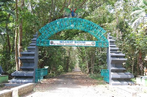 Hutan Paling Angker Dan Terkutuk Di Indonesia Ini Suka Mencari Tumbal