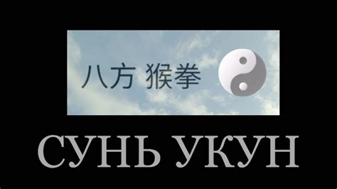 Сунь Укун Хоу Цюань - YouTube