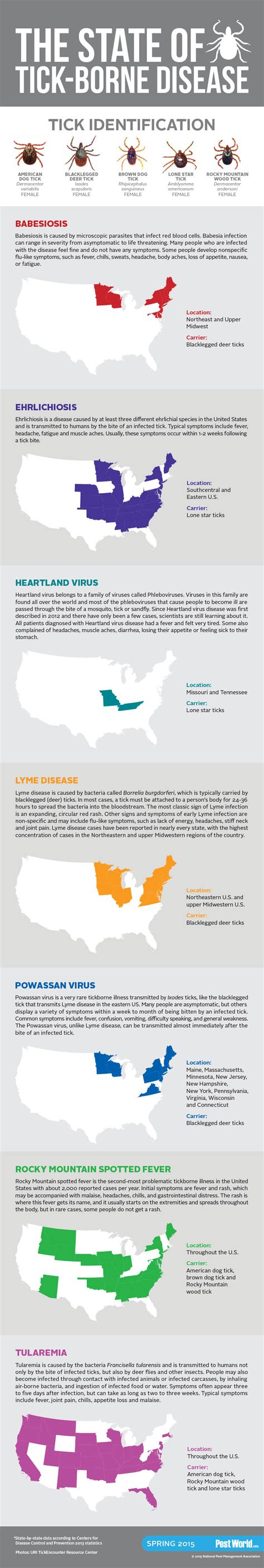 Tick Talk Infographics About Tickborne Disease And Removing A Tick