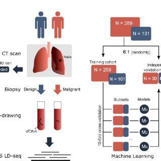 Figure S Workflow Of This Study Ct Computed Tomography Wgs