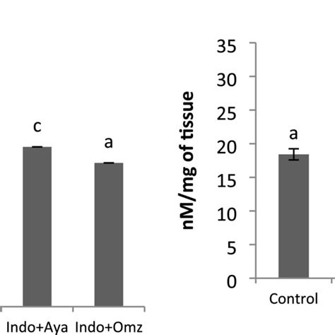 Lipid Peroxidation Of Conjugated Diene And Thiobarbituric Acidreactive