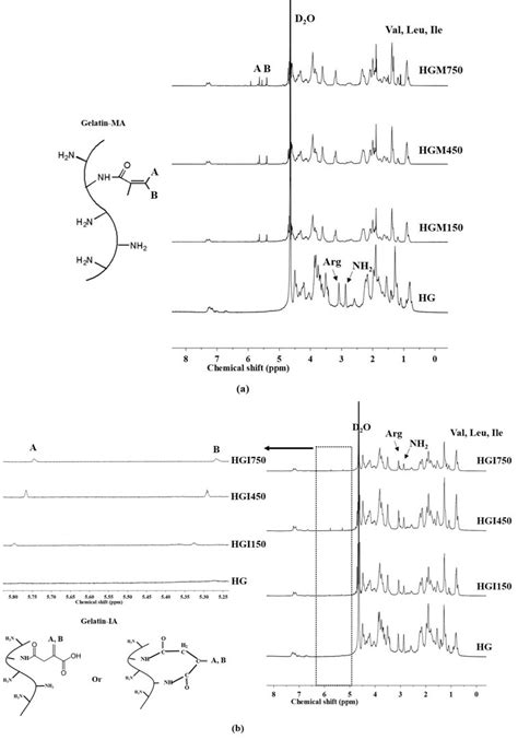 H Nmr Spectra Of A High Molecular Weight Gelatin Ma Hgm And B