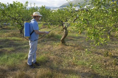 How To Spray Fruit Trees With Dormant Oil Hunker